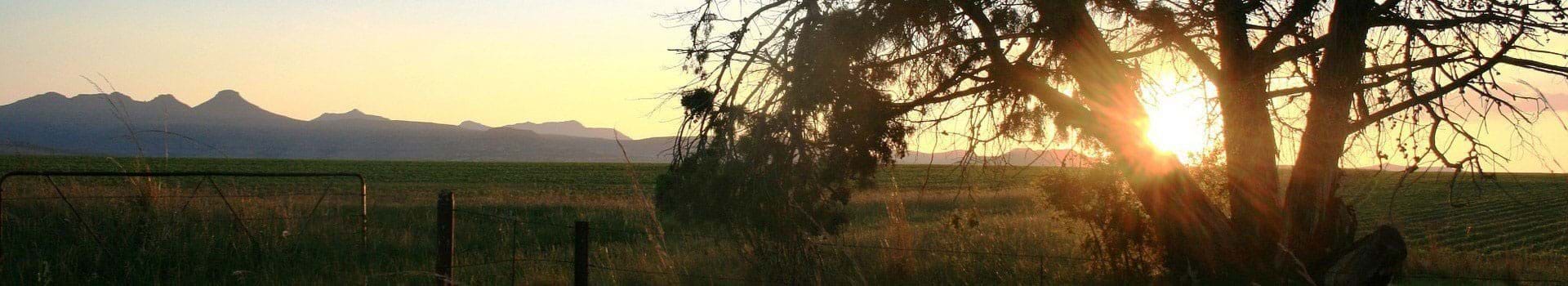 Renew Land Completed Sites